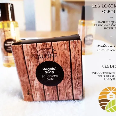 ⁂⁂ Le Nid De Pierre & Julie Cledicihome 2 Pas Du Centre Ville / Spa & Terasse Amenagee ⁂⁂ La Bresse Exterior photo